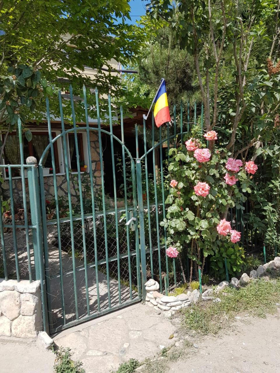 Hotel Casa Nikita Vama Veche Exterior foto